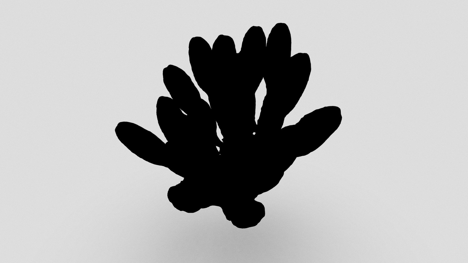 Cactaceae flower (pre-bloom)