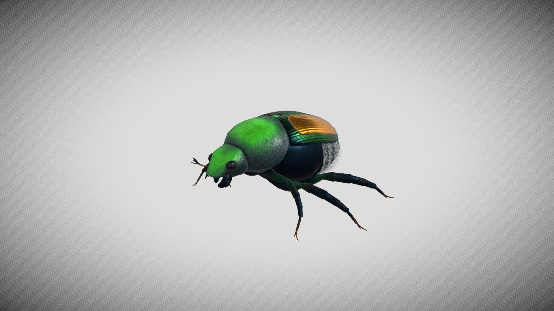 Japanese Beetle - 3D model by Purdue Envision Center (@EnvisionCenter ...