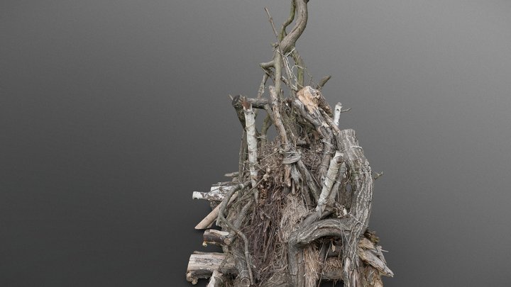 Druid wood pile