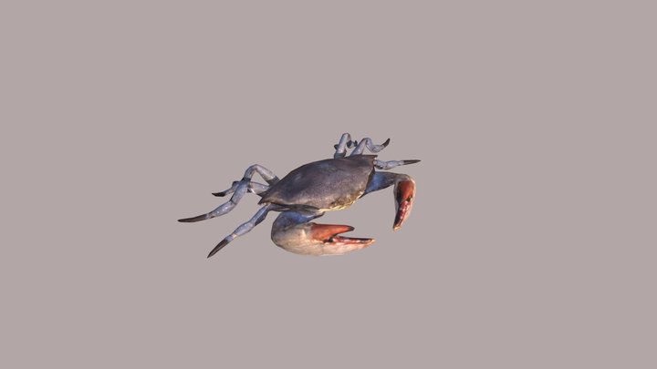 Crab Retopo LP 3D Model
