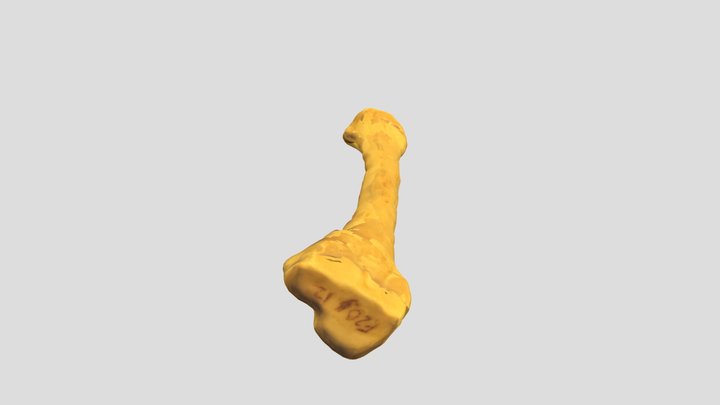 Homo sapiens, Third Metatarsal 3D Model