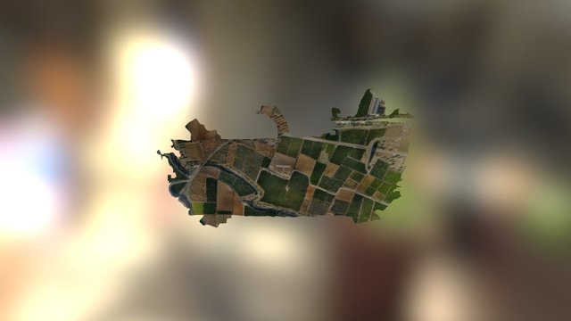Chiva Visible 3D Model