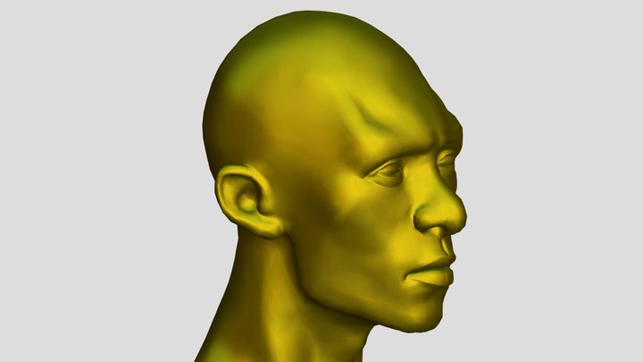 portrait 3D Model