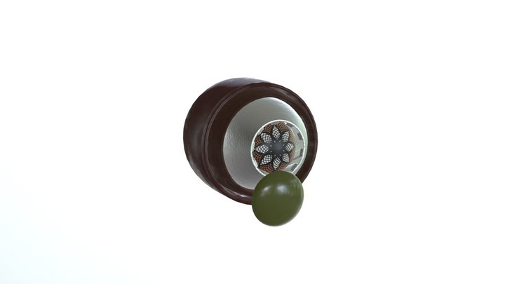 MetalEye_Test 3D Model