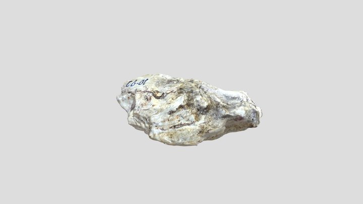 CG 09 - Pure metapelite