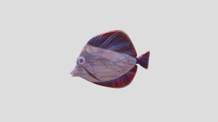 Fish 3D Model