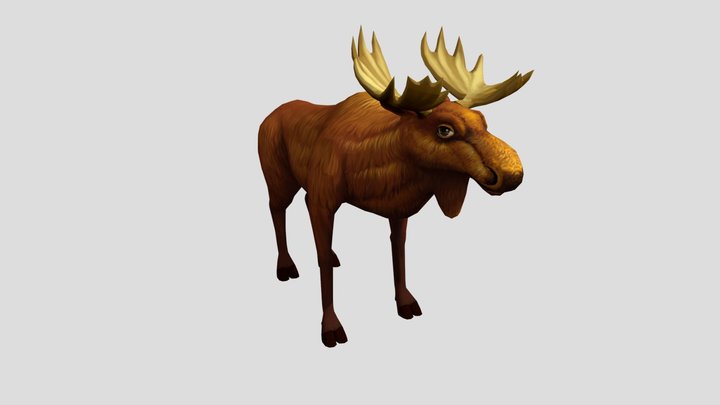 moose 3D Model