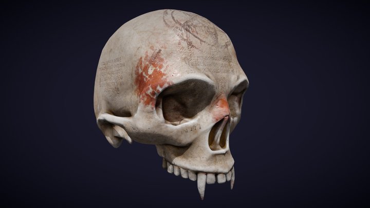 Ritual vampire skull 3D Model