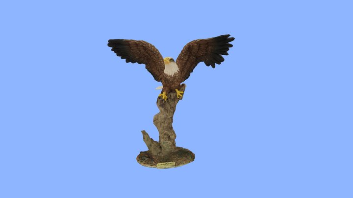 American Bald Eagle 3D Model