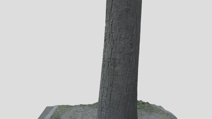 Tree 1 3D Model