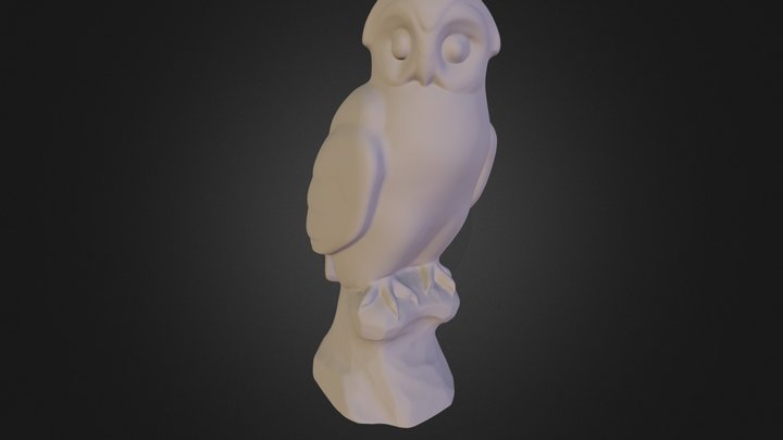 Owl 3D Model