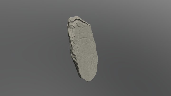 Stone Anim 3D Model