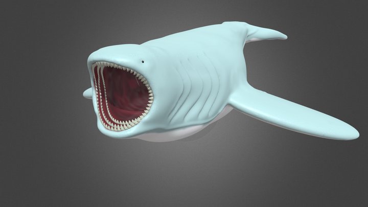 Bloop 3D Model