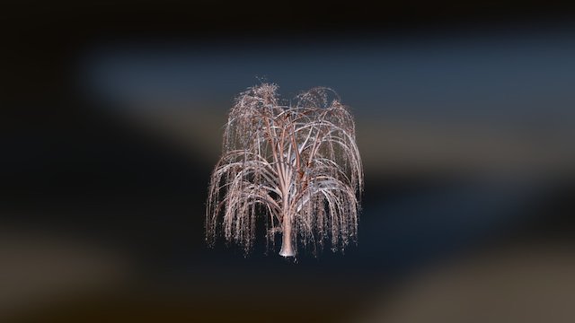 weepingWillow 3D Model