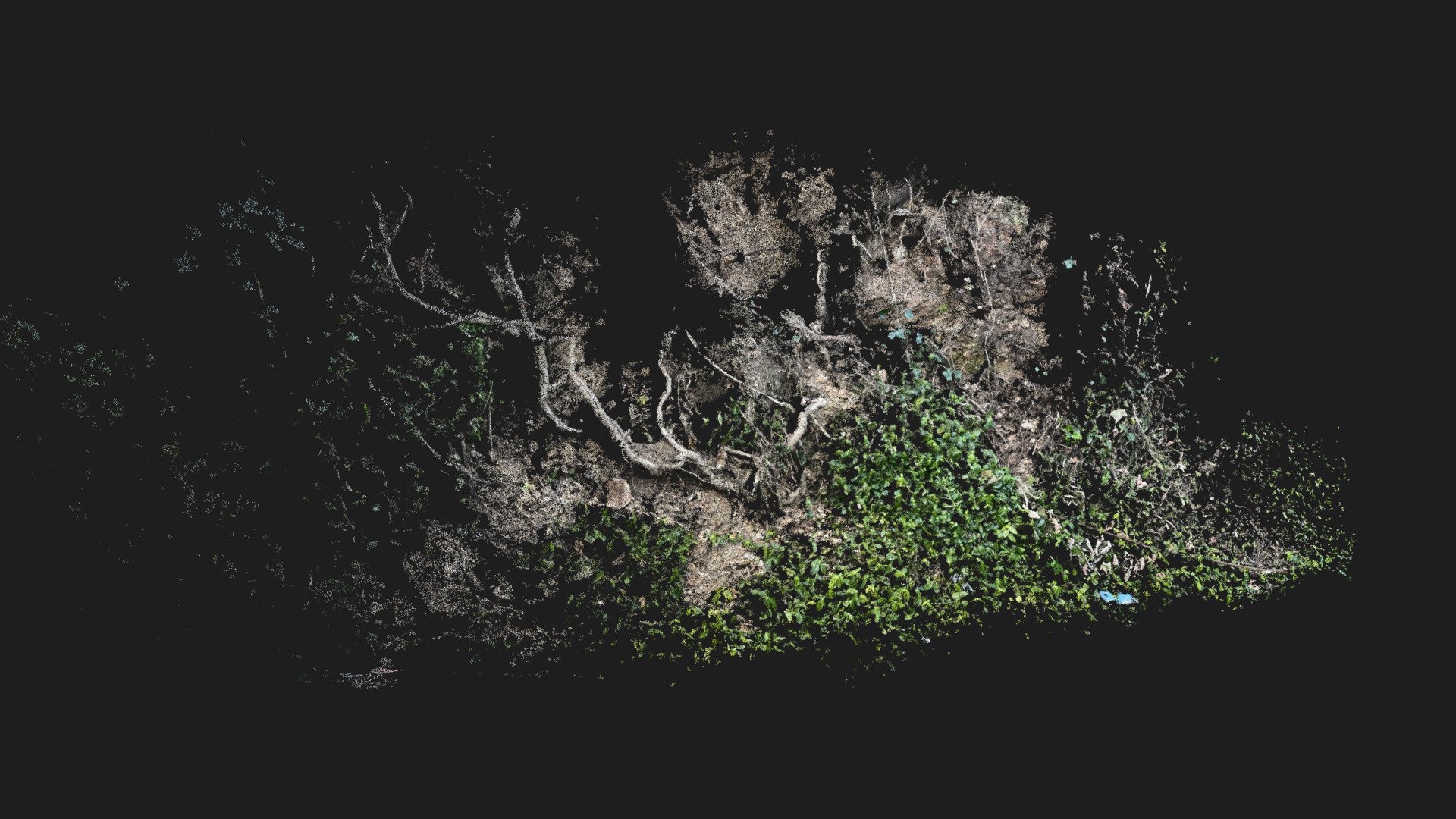 Hillside Test [COLMAP]