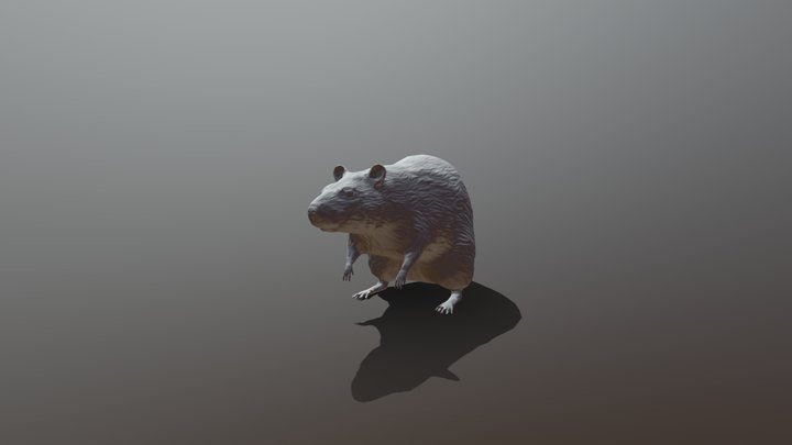 Retopo-Rat 3D Model