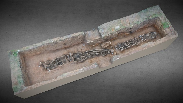 Fosa común de Parasimón 3D Model