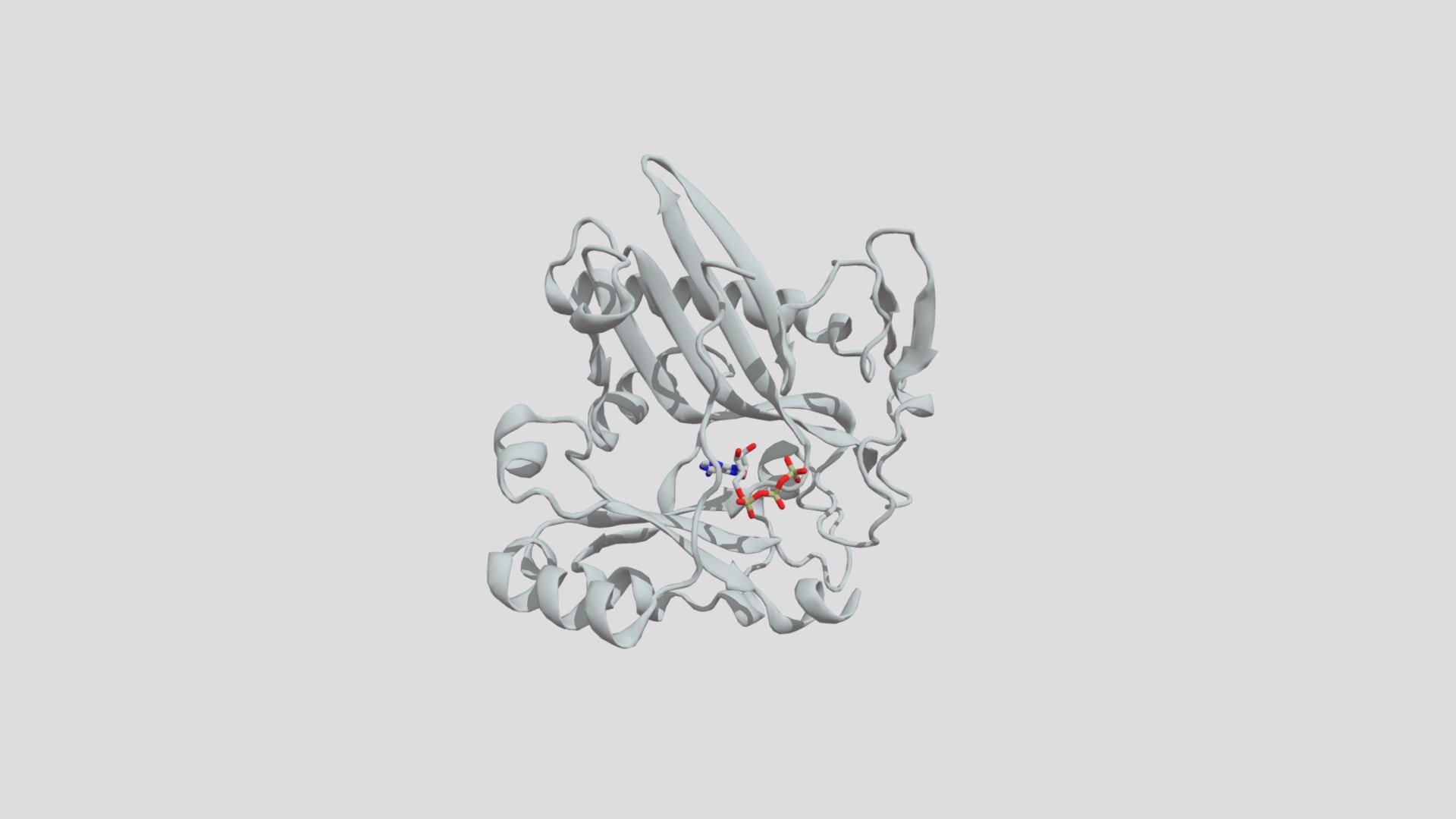 Protein (1XDN)