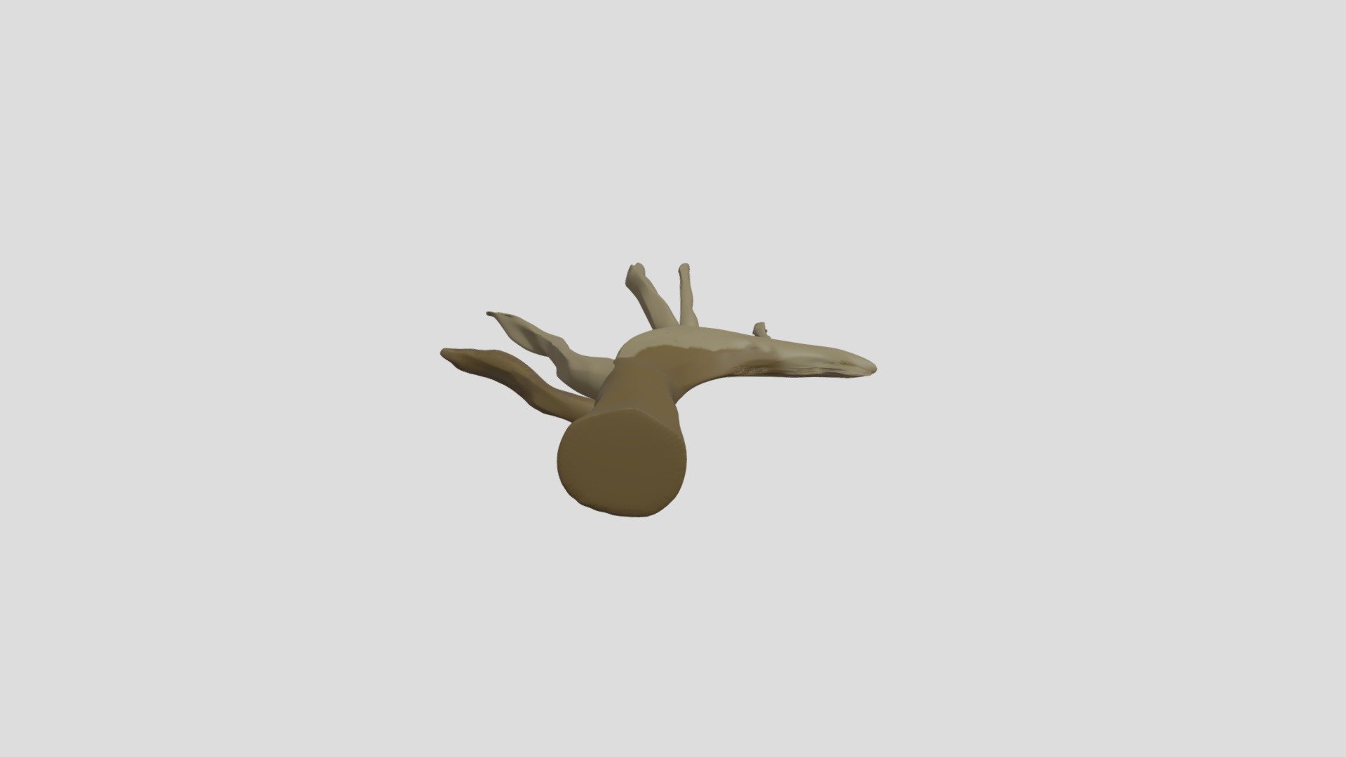 Dead Tree Model