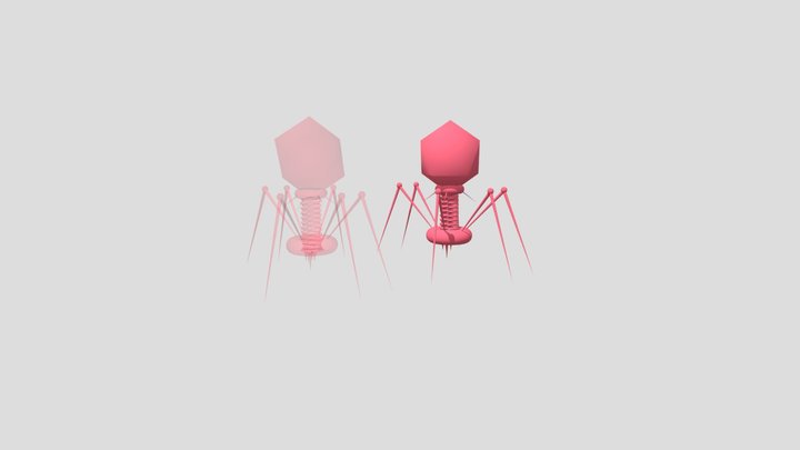 Bacteriophage 3D Model