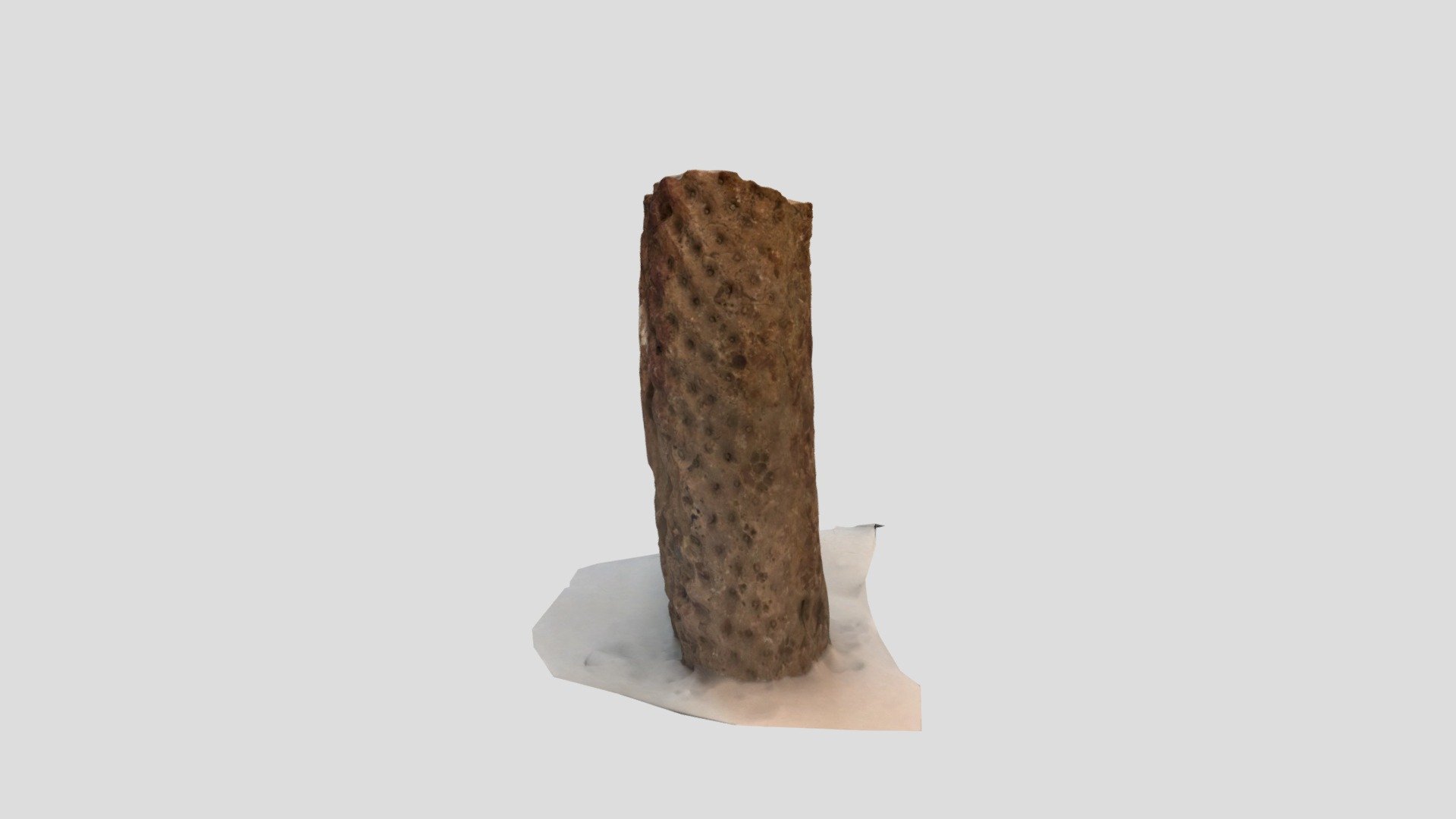 Polycam capture