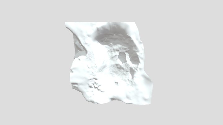 turtle1 3D Model