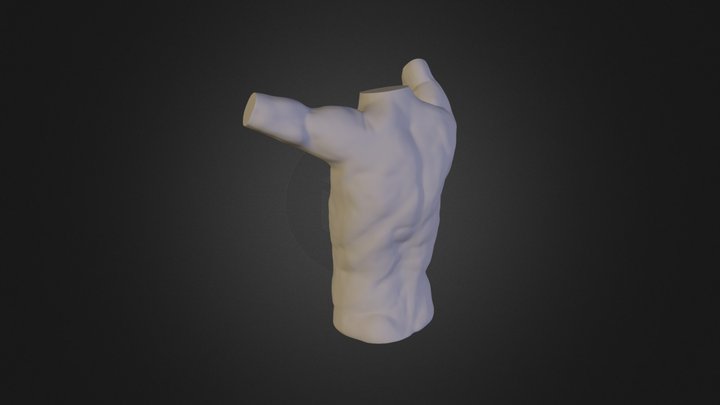 Male torso zbrush sculpture 3D Model