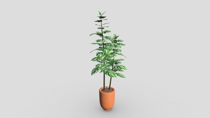 Tall house plant – Gratis 3D-model STL