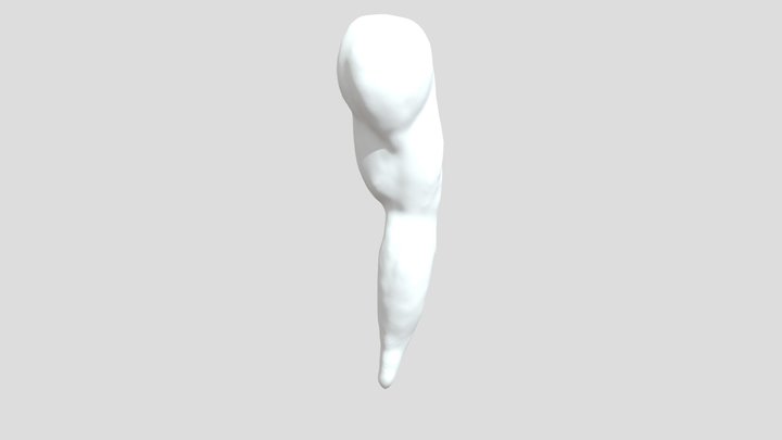 arm study 3D Model