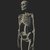Skeleton