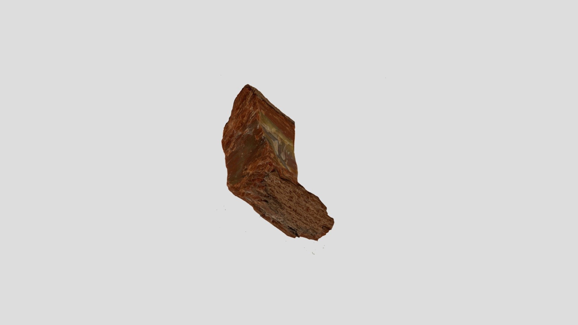 Fossils 5