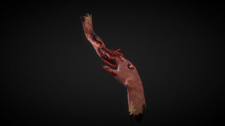 Hands 3D Model