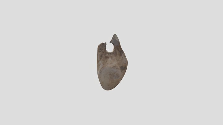 SGLR 1 3D Model
