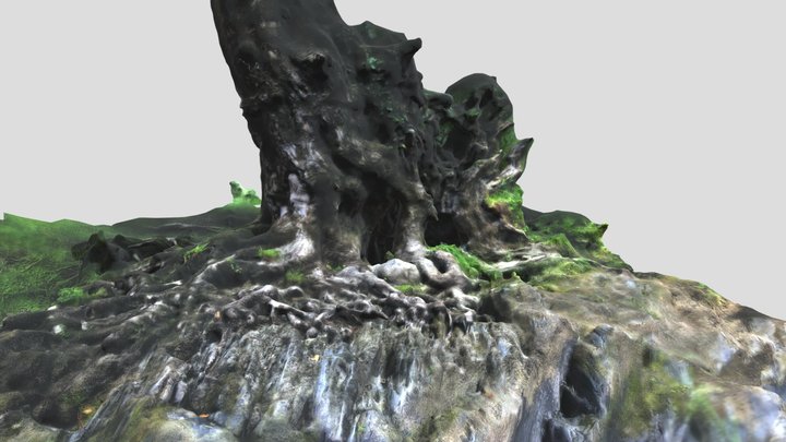 Rabbit-hole-river-model-100k 3D Model