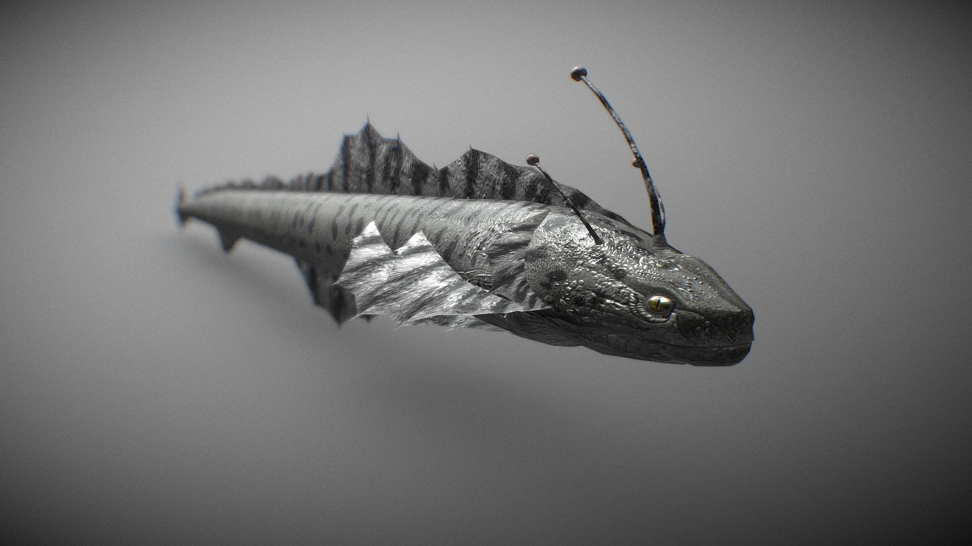 Sea Snake