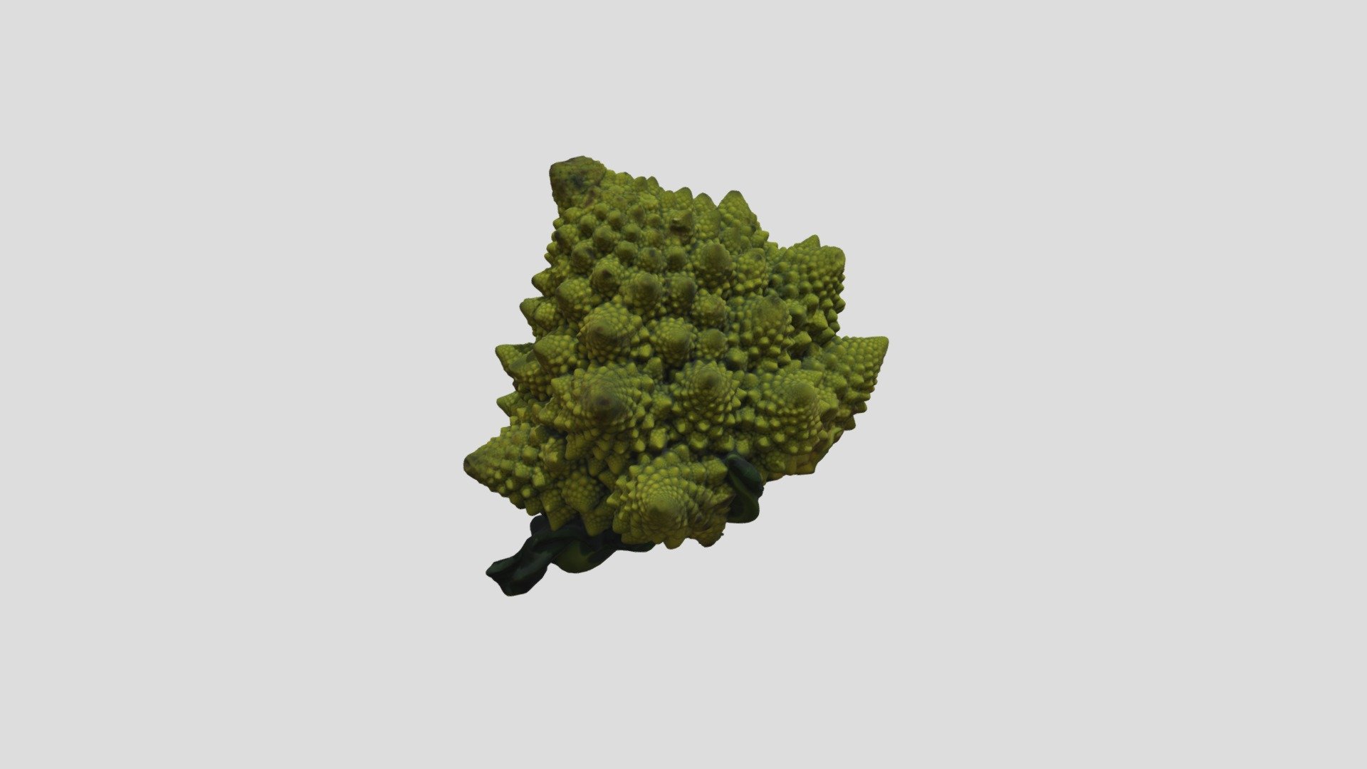 Broccolo Romanesco 01