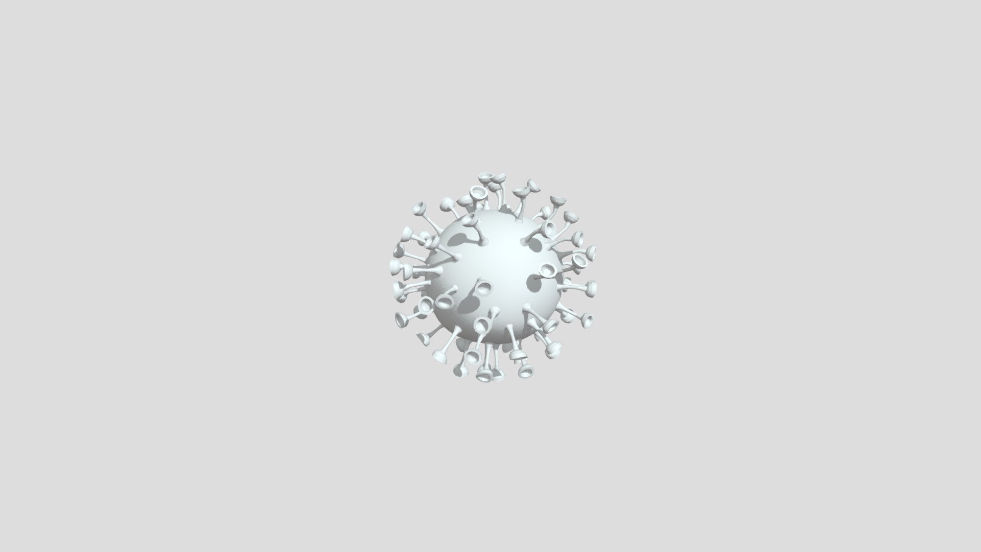 Corona Virus