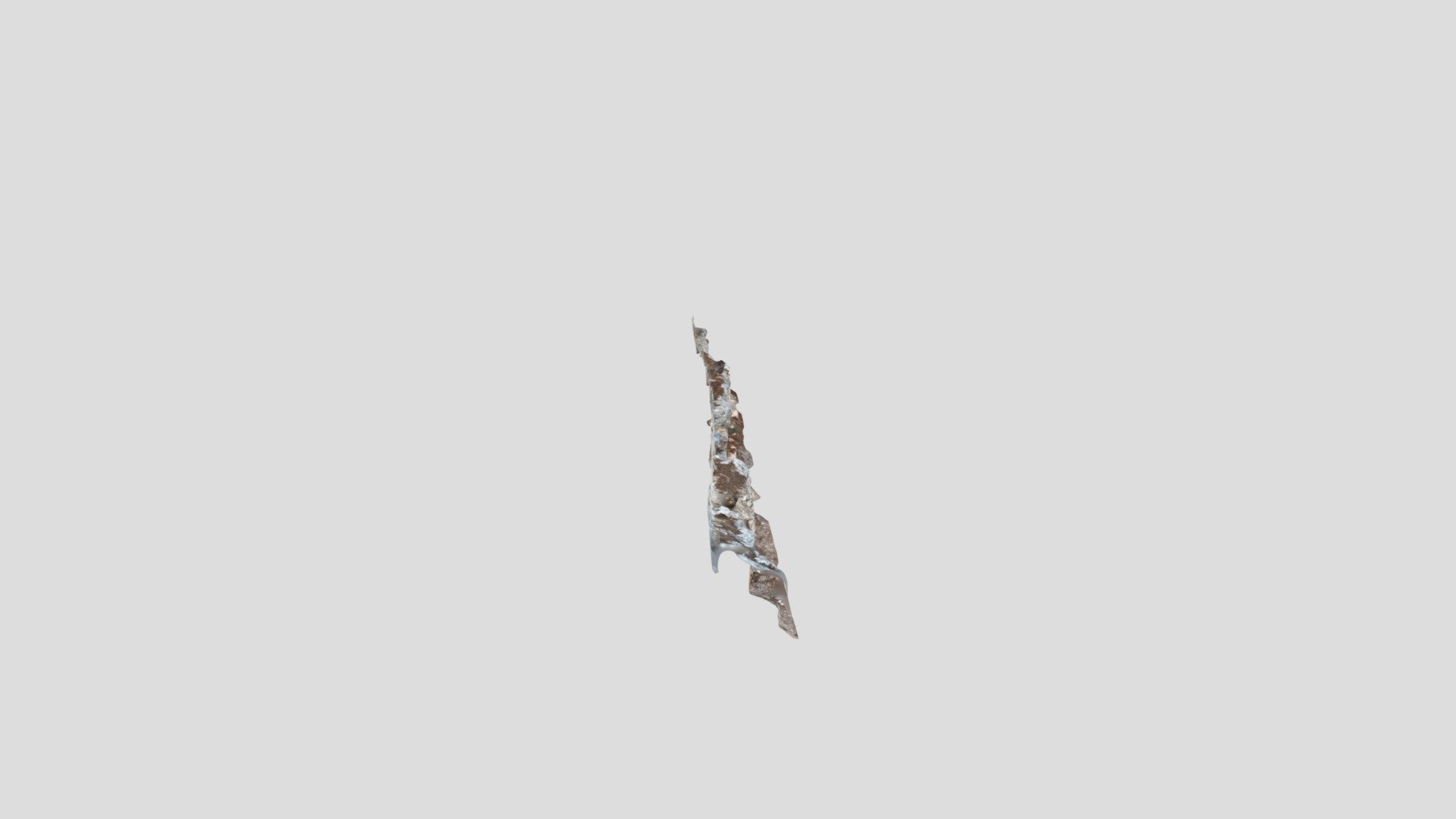 Polycam capture
