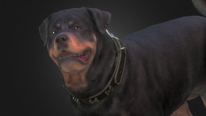 Ken the Rottweiler 3D Model