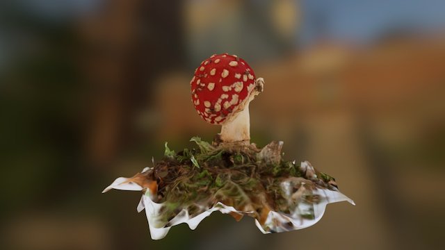 Amanita muscaria 3D Model
