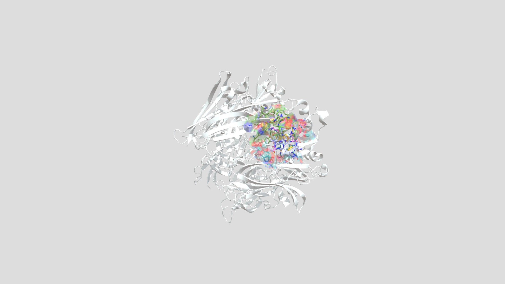 α-conotoxin Iml and Ac-AChBP Interaction - 3D model by lorin_symons ...