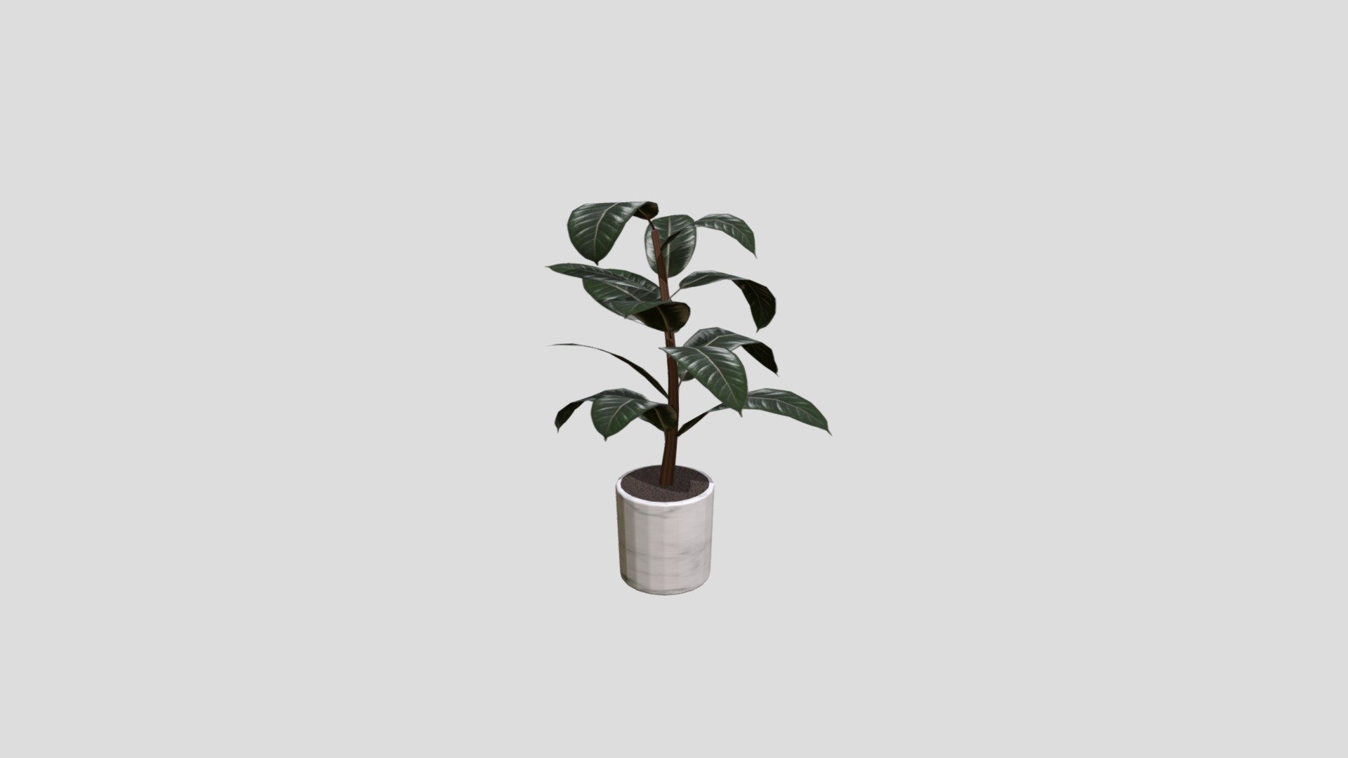 plant1