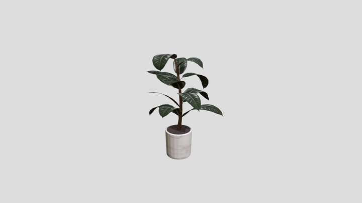 plant1 3D Model