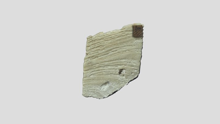 model 3D Model