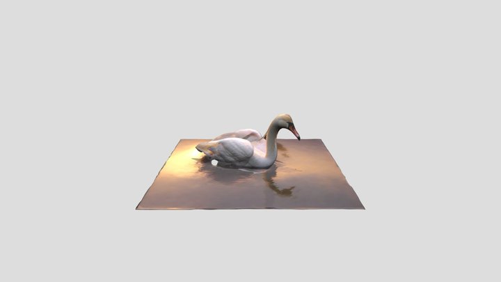 A  Elegant White Swan 3D Model