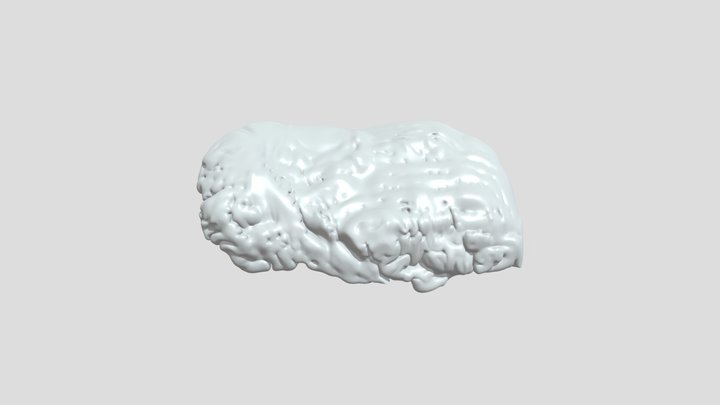 A small fluffy white object 3D Model