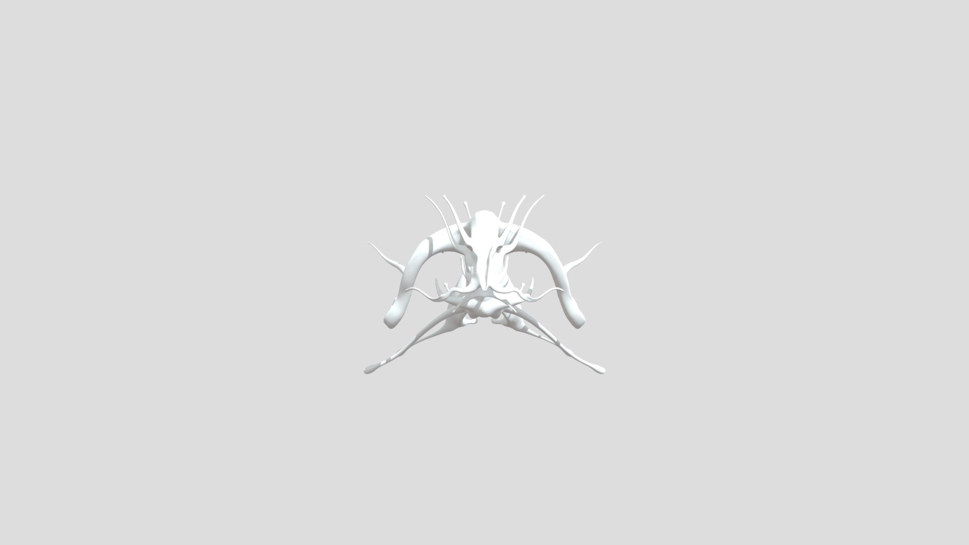 dragon\squid