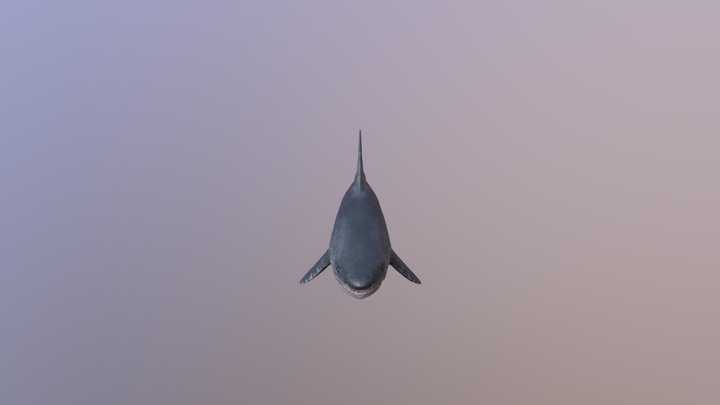 Shark Rig 3D Model