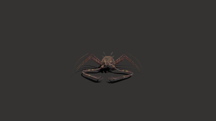 Giant Tick 3D Model