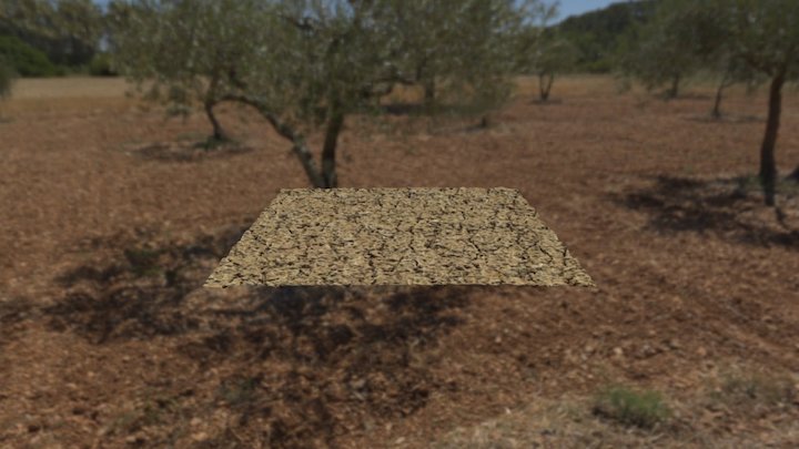 Dirt 3D Model